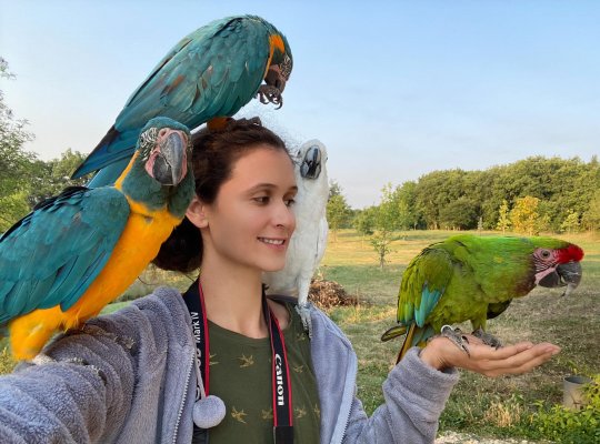 Bien être animal : Marion NICOLAS, la femme qui chuchote à l' oreille des perroquets