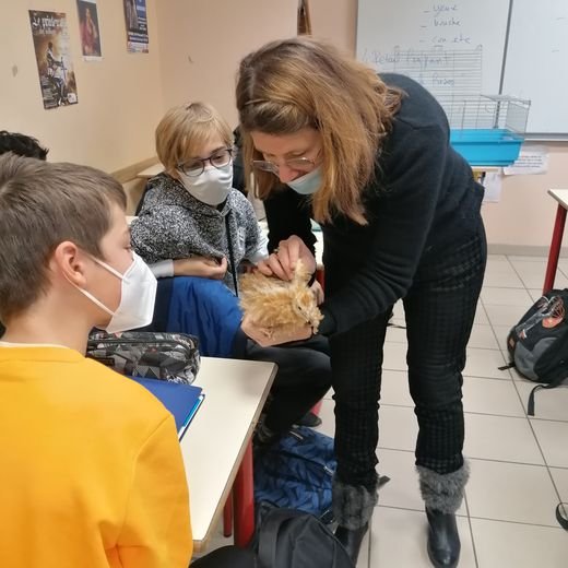ProNaturA-France propose de développer le lien homme-animal à l’école : exemple de projet mené par nos adhérents en Collège. 
