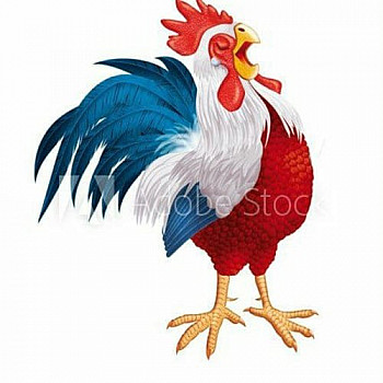 Modalités d’application des arrêtés des 25 et 26 septembre sur la grippe aviaire : ProNaturA France s’entretient avec la Direction générale de l’Alimentation